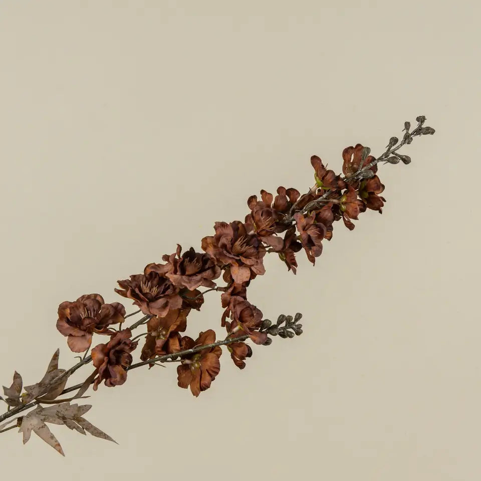Brown Larkspur Spray