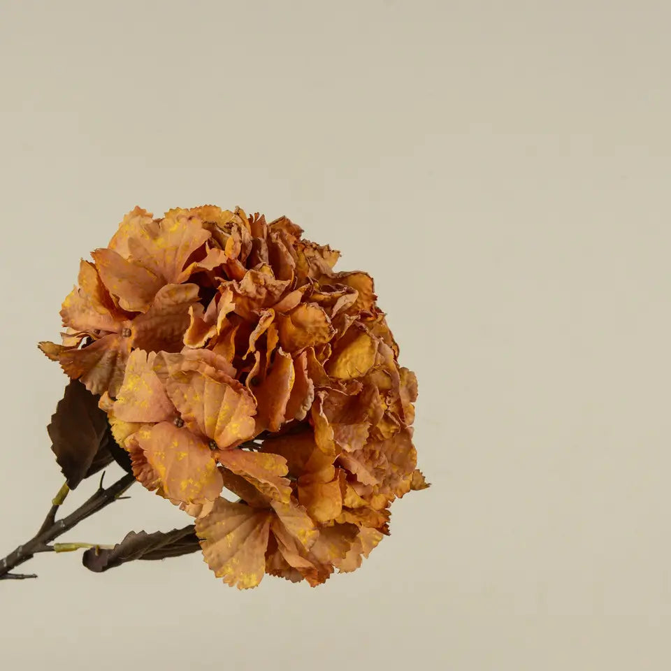 Orange Hydrangea Spray