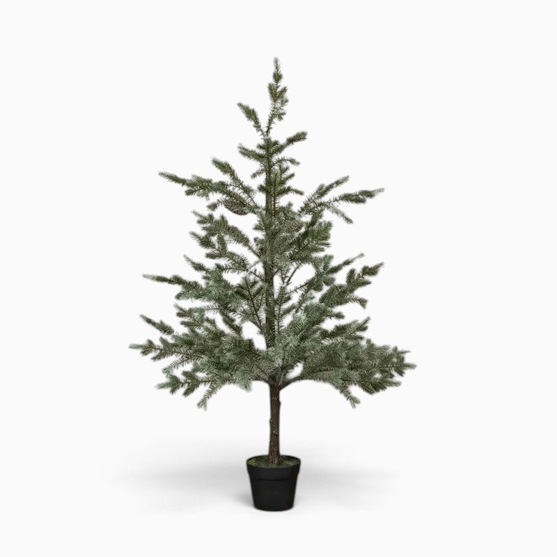 Sage Copley Pine Tree In Pot