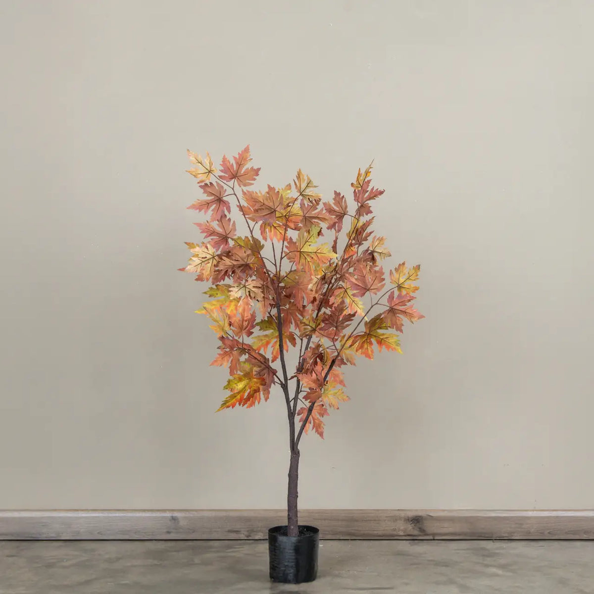 Fall Maple Leaf Tree