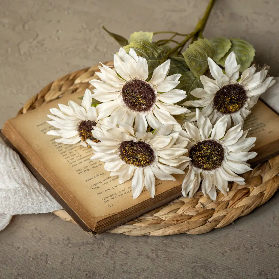 Cream Sunflower Bush