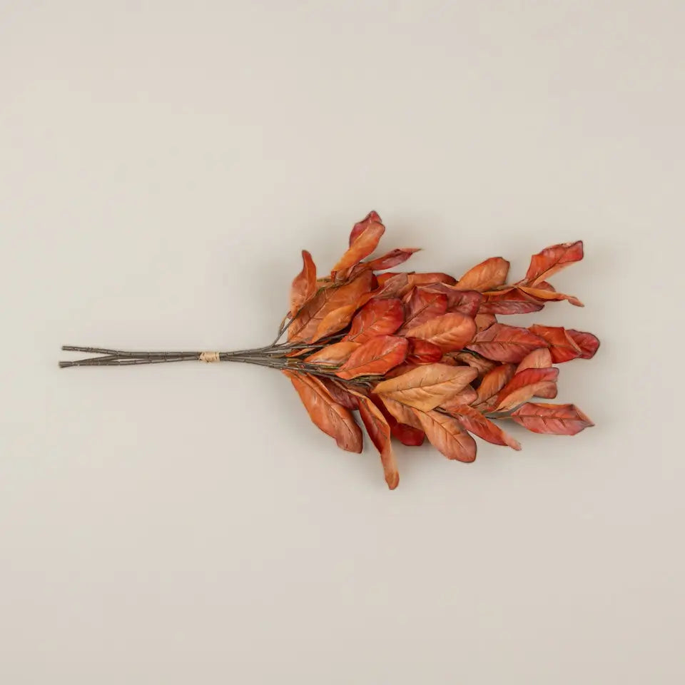 Dried Orange Magnolia Leaves Bundle