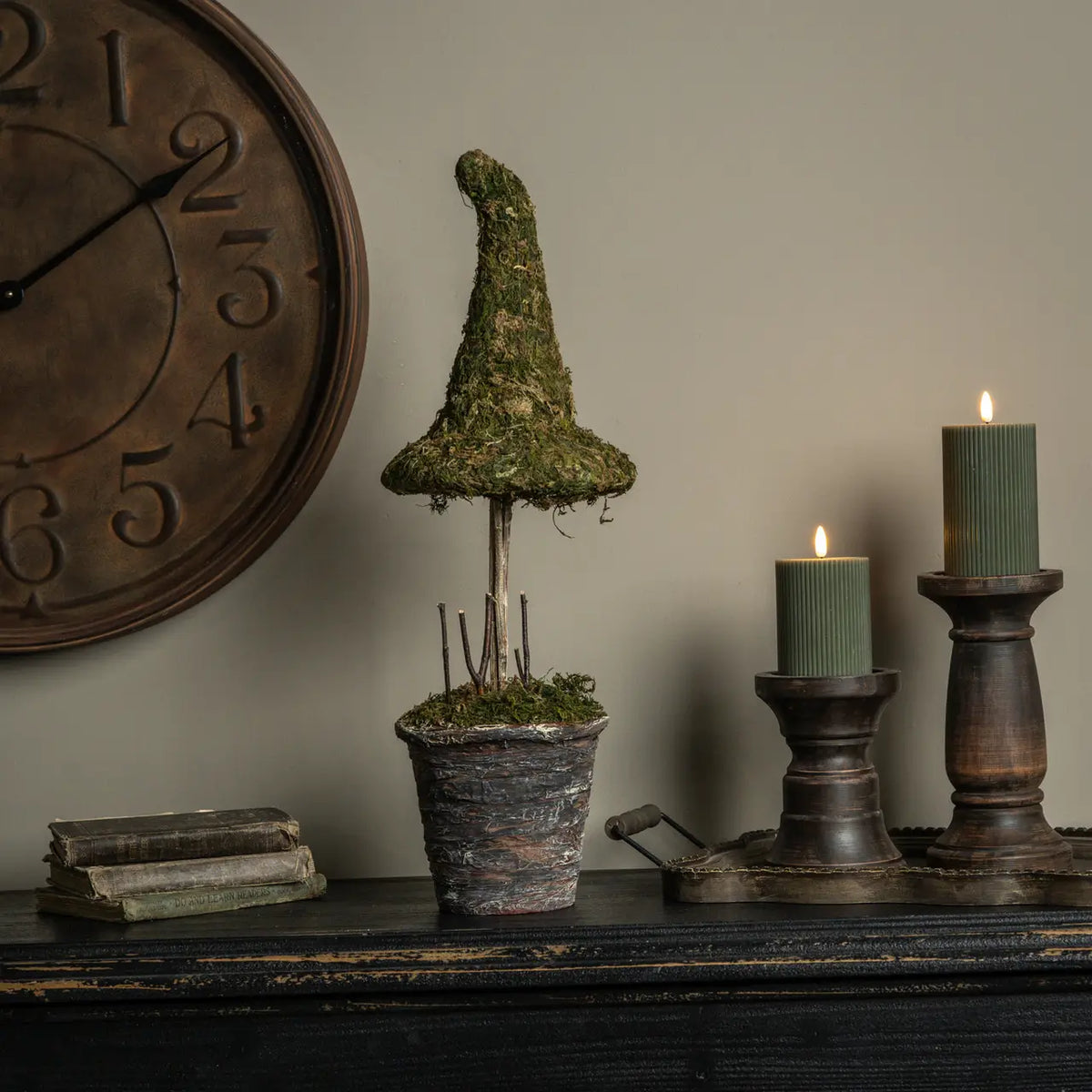 Potted Moss Witches Hat