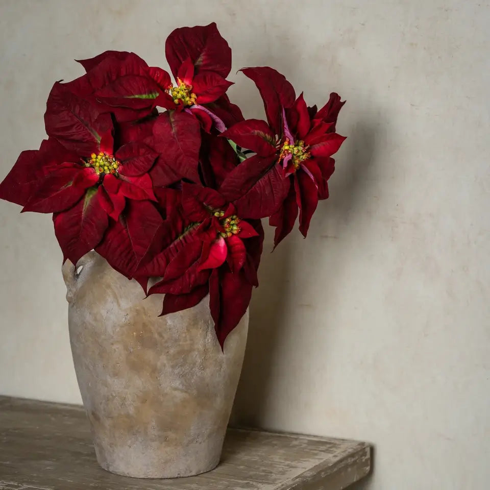 Burgundy Poinsettia Stem