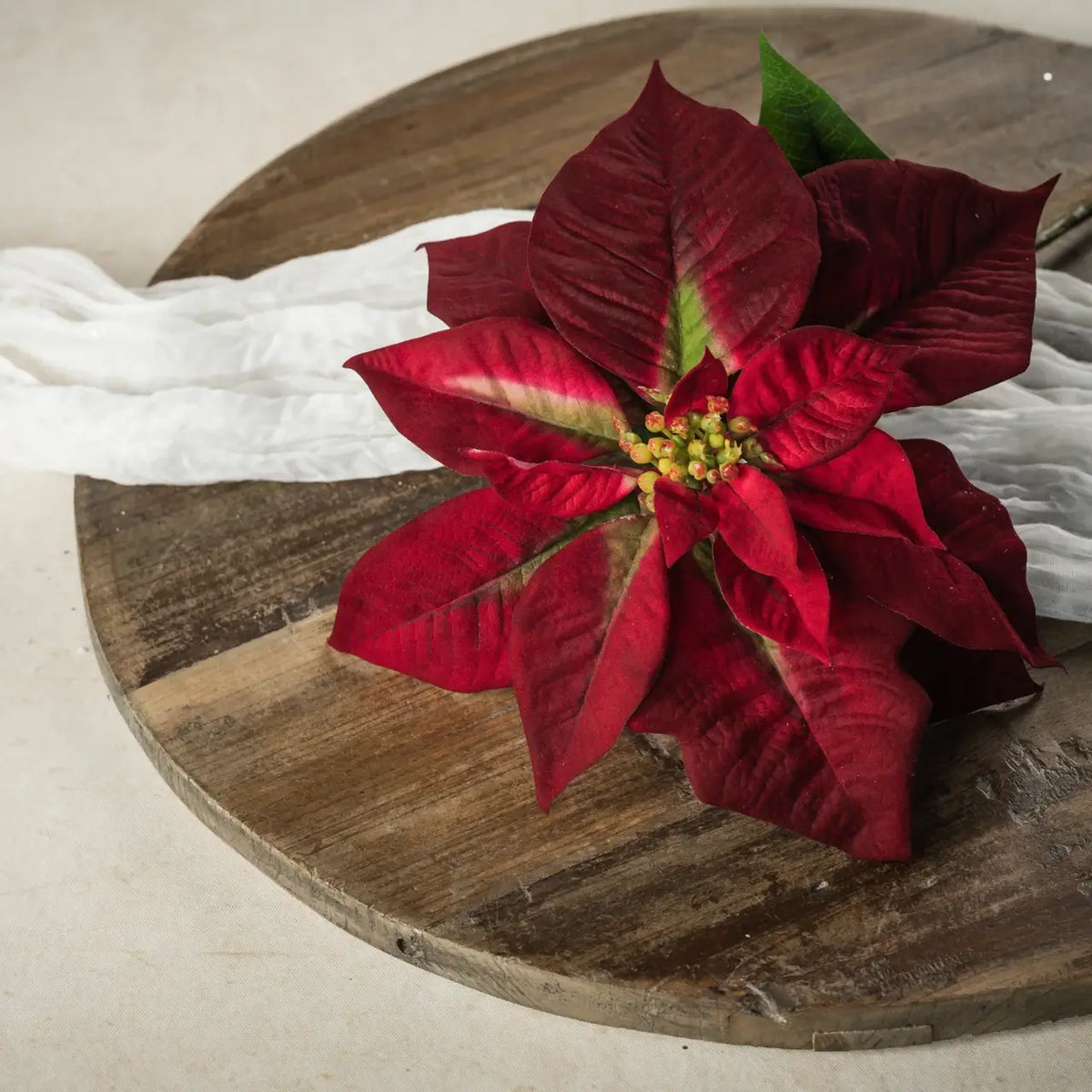 Burgundy Poinsettia Stem