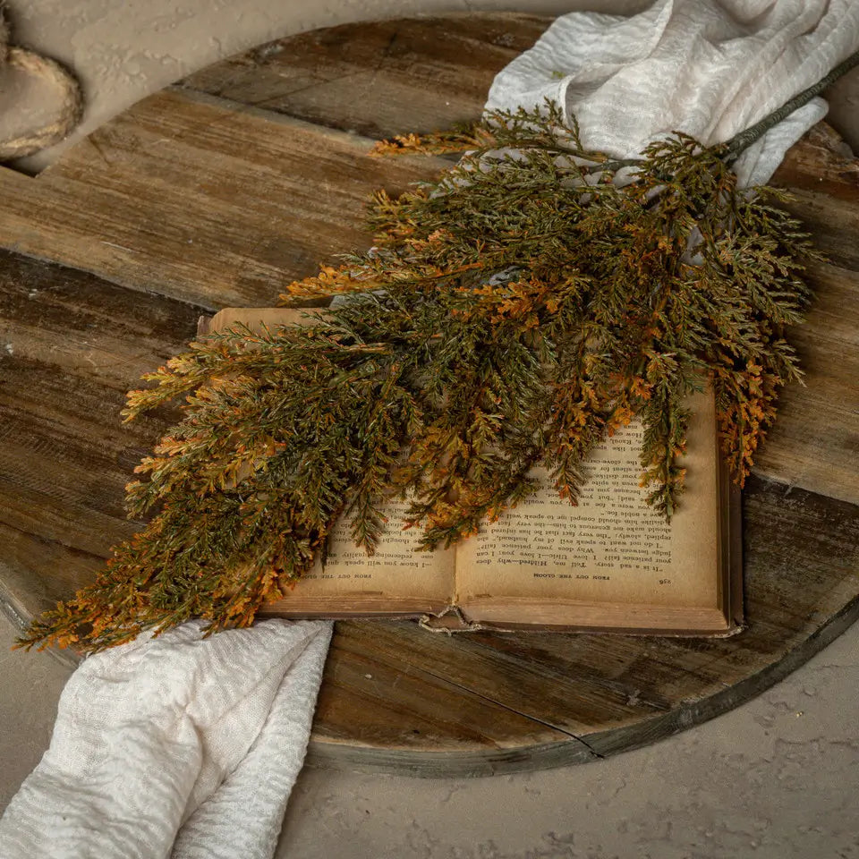 Orange Tipped Juniper Spray