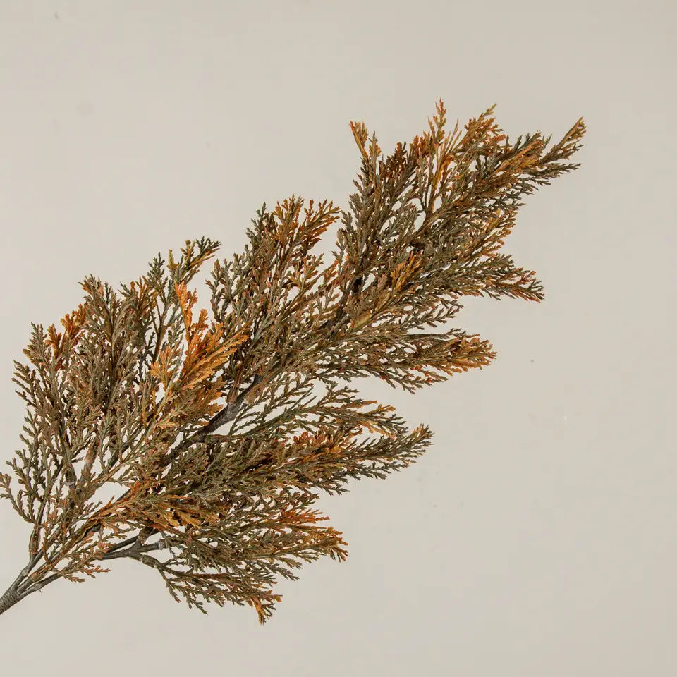 Orange Tipped Juniper Spray