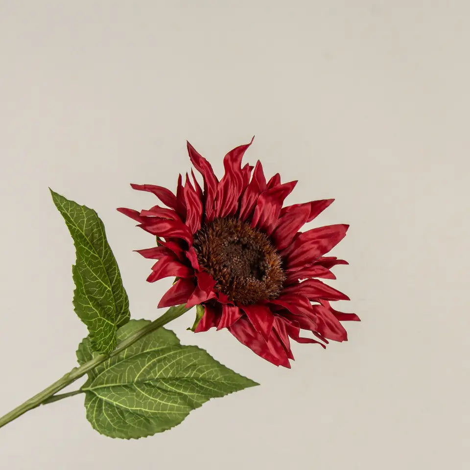 Burgundy Sunflower Stem