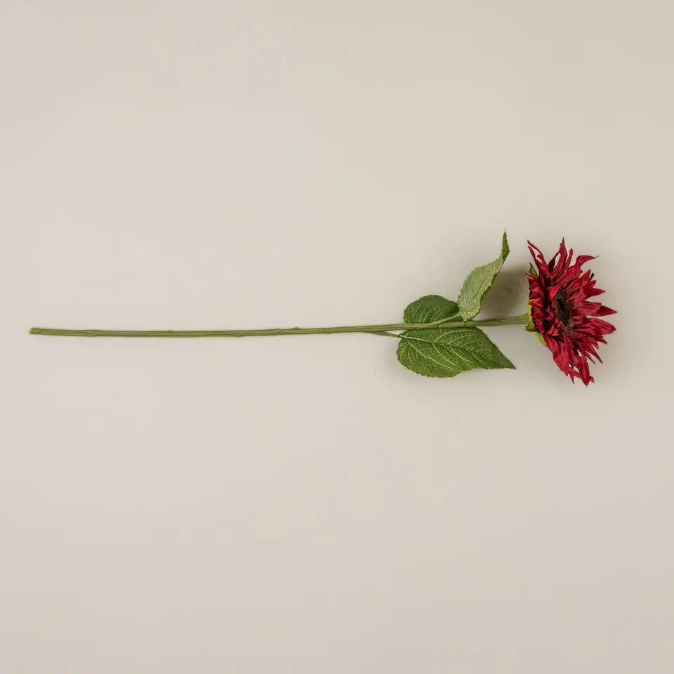 Burgundy Sunflower Stem