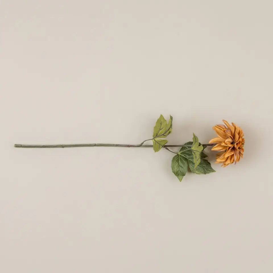 Mustard Dahlia Stem