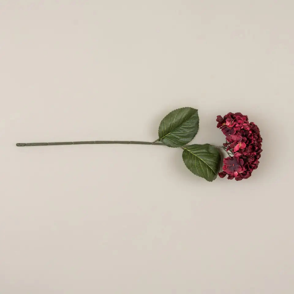 Burgundy Hydrangea Stem