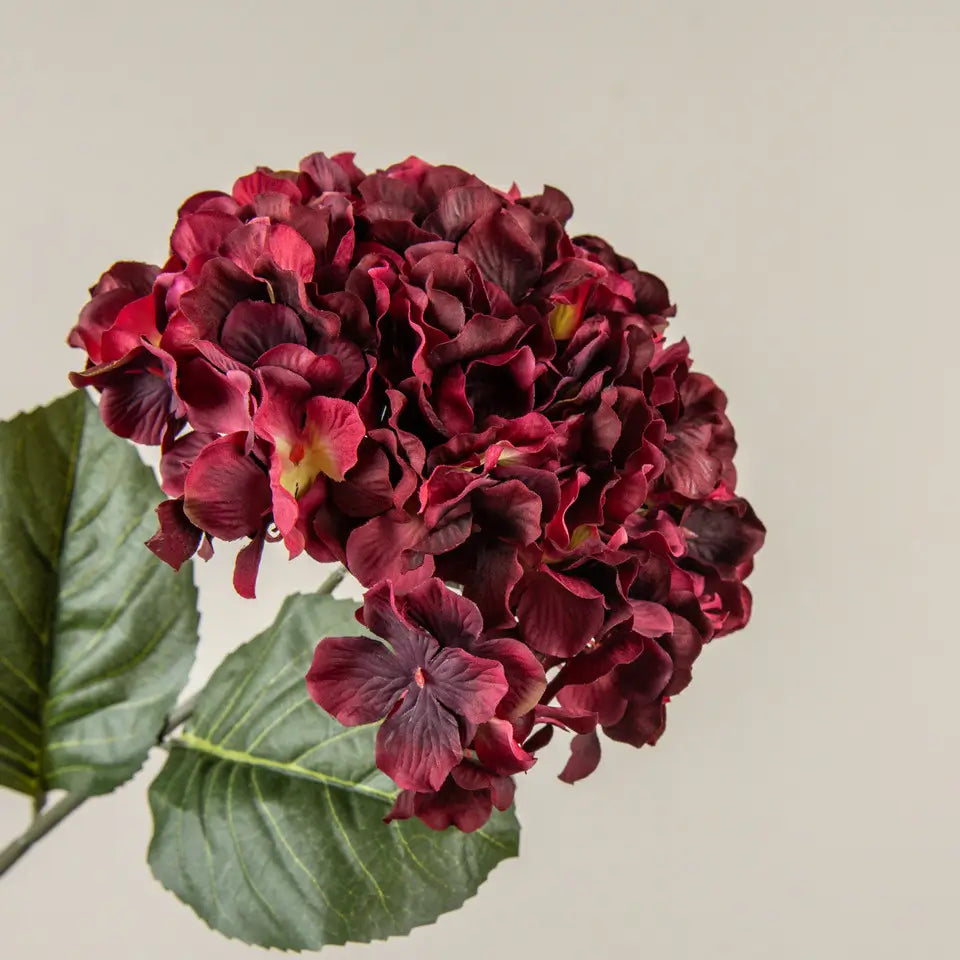 Burgundy Hydrangea Stem