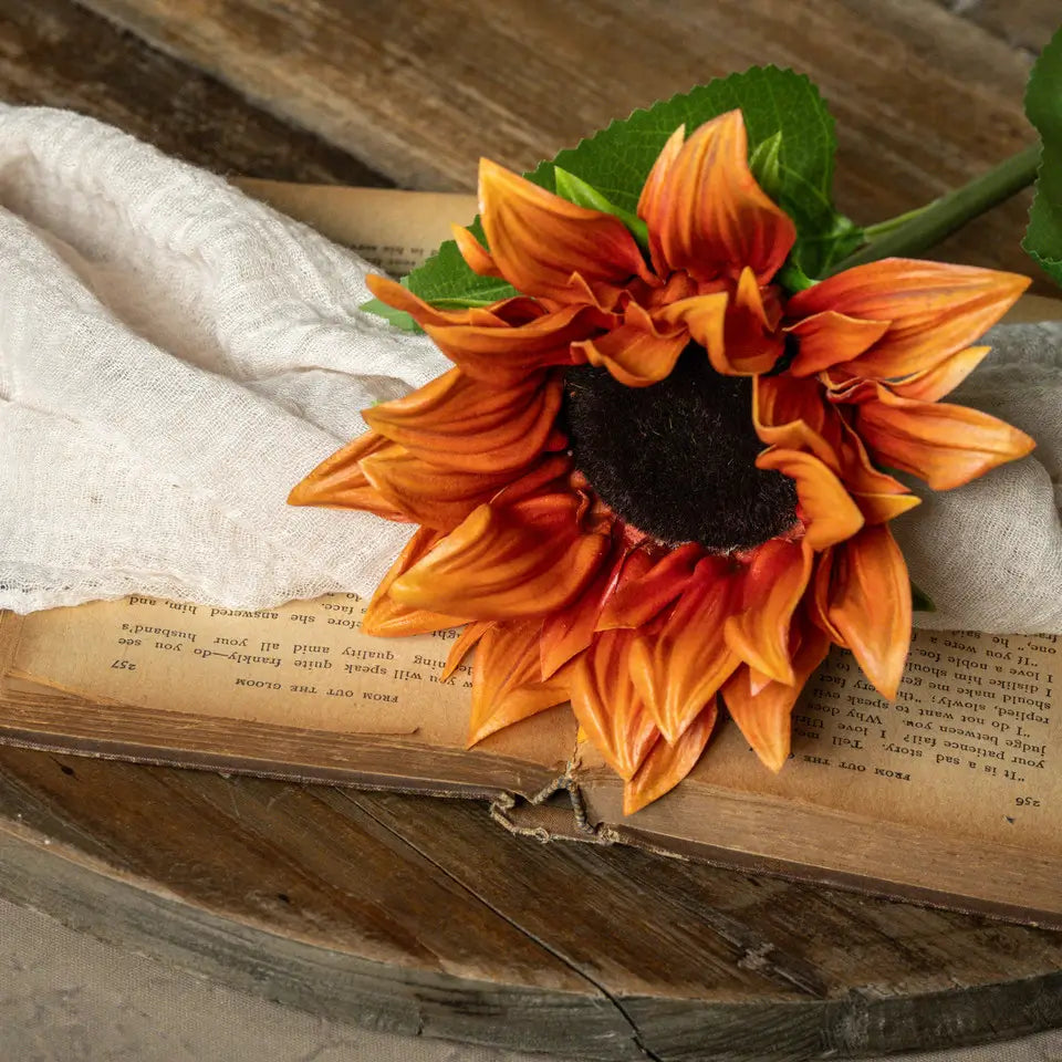Orange Sunflower Stem