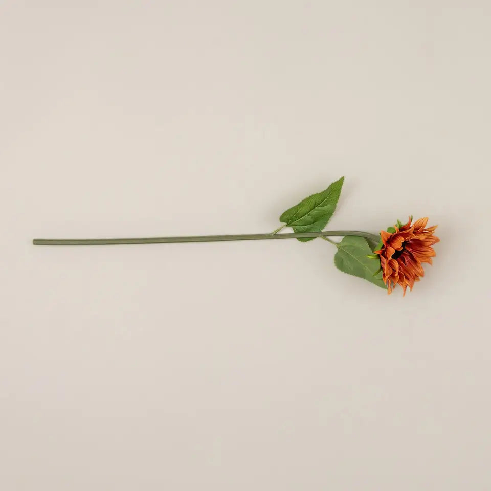Orange Sunflower Stem