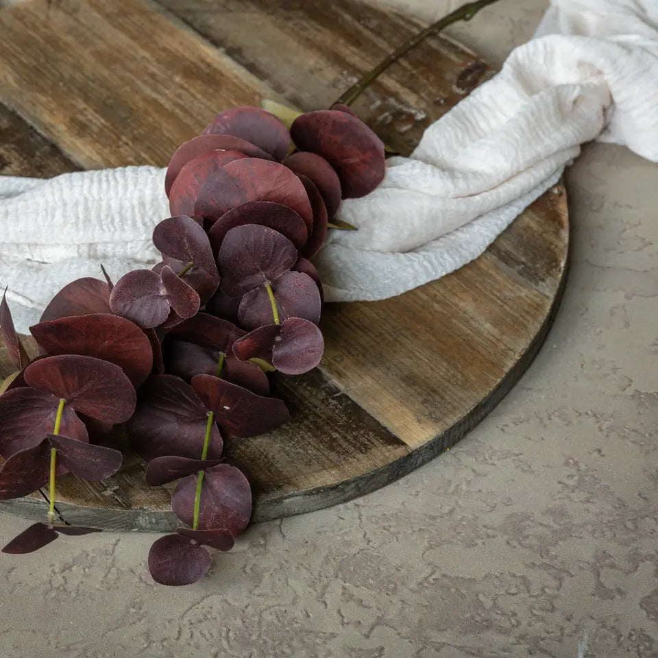 Burgundy Eucalyptus Stem