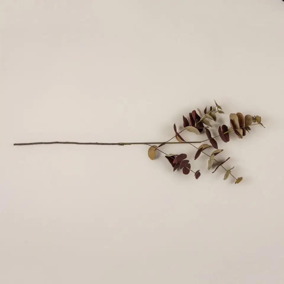 Burgundy Eucalyptus Stem