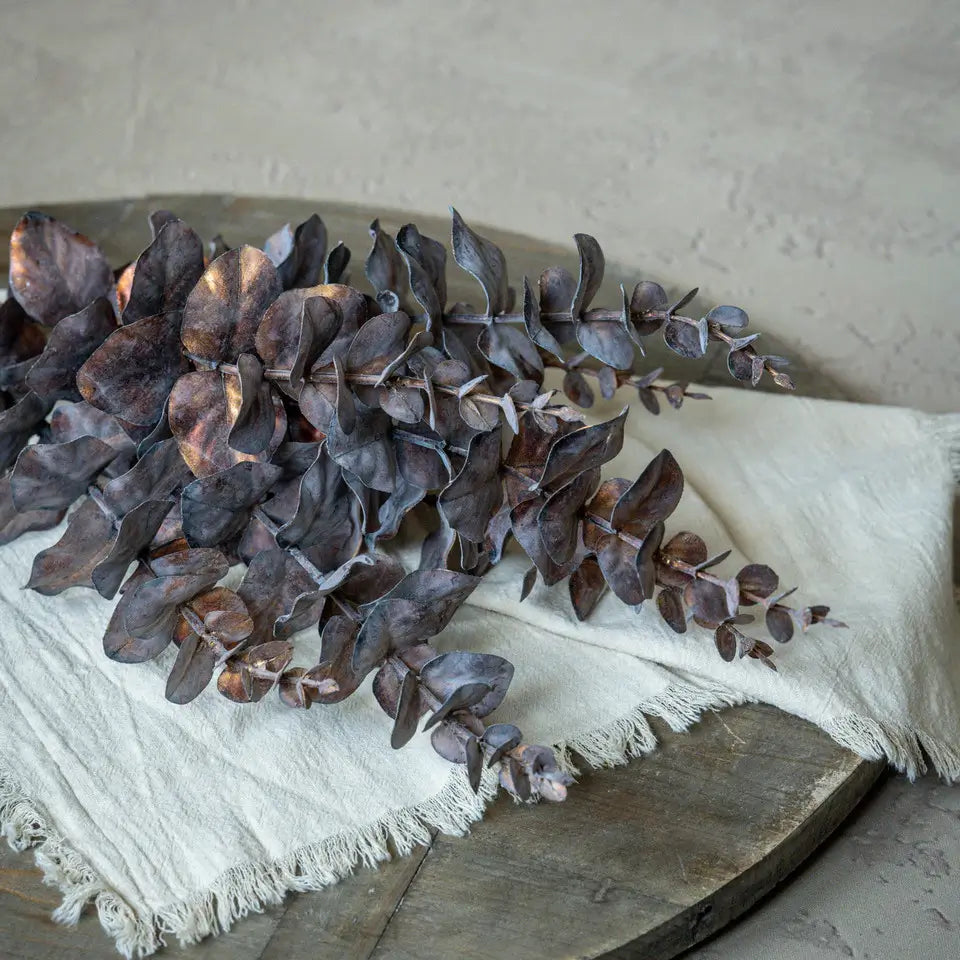 Metallic Copper Eucalyptus Bush