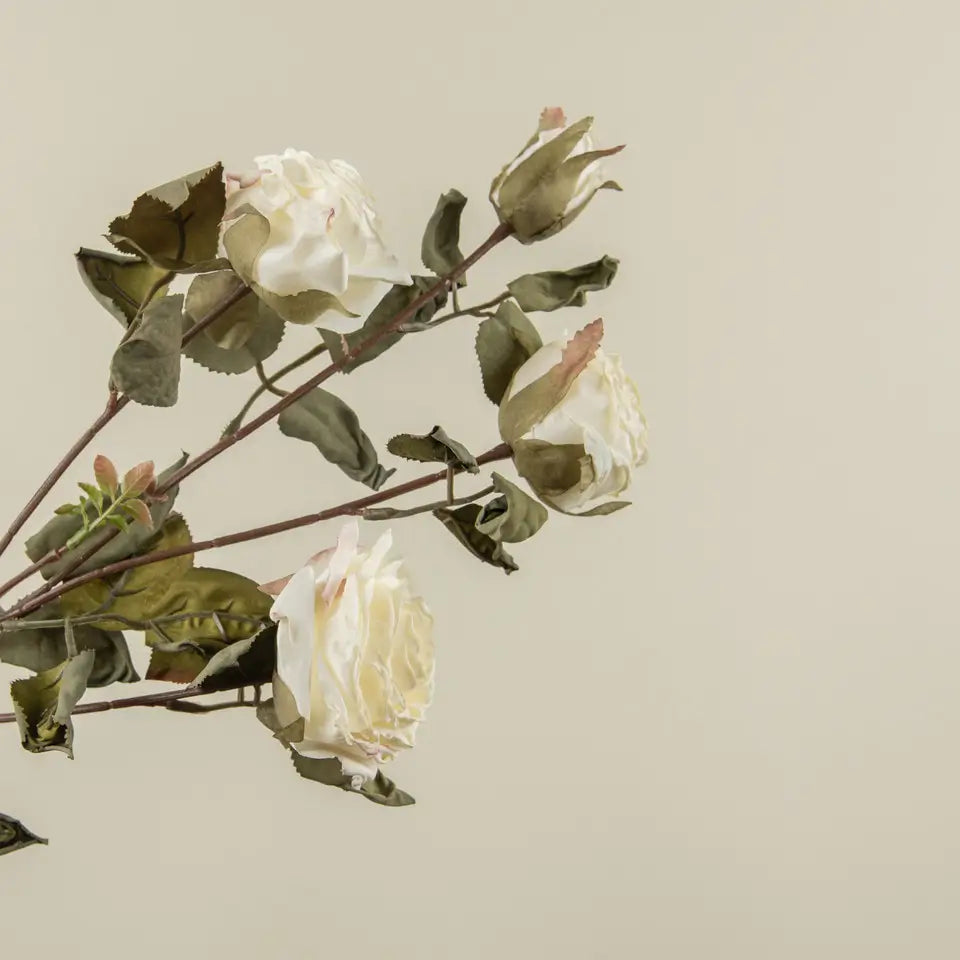 Cream Dried Rose Spray