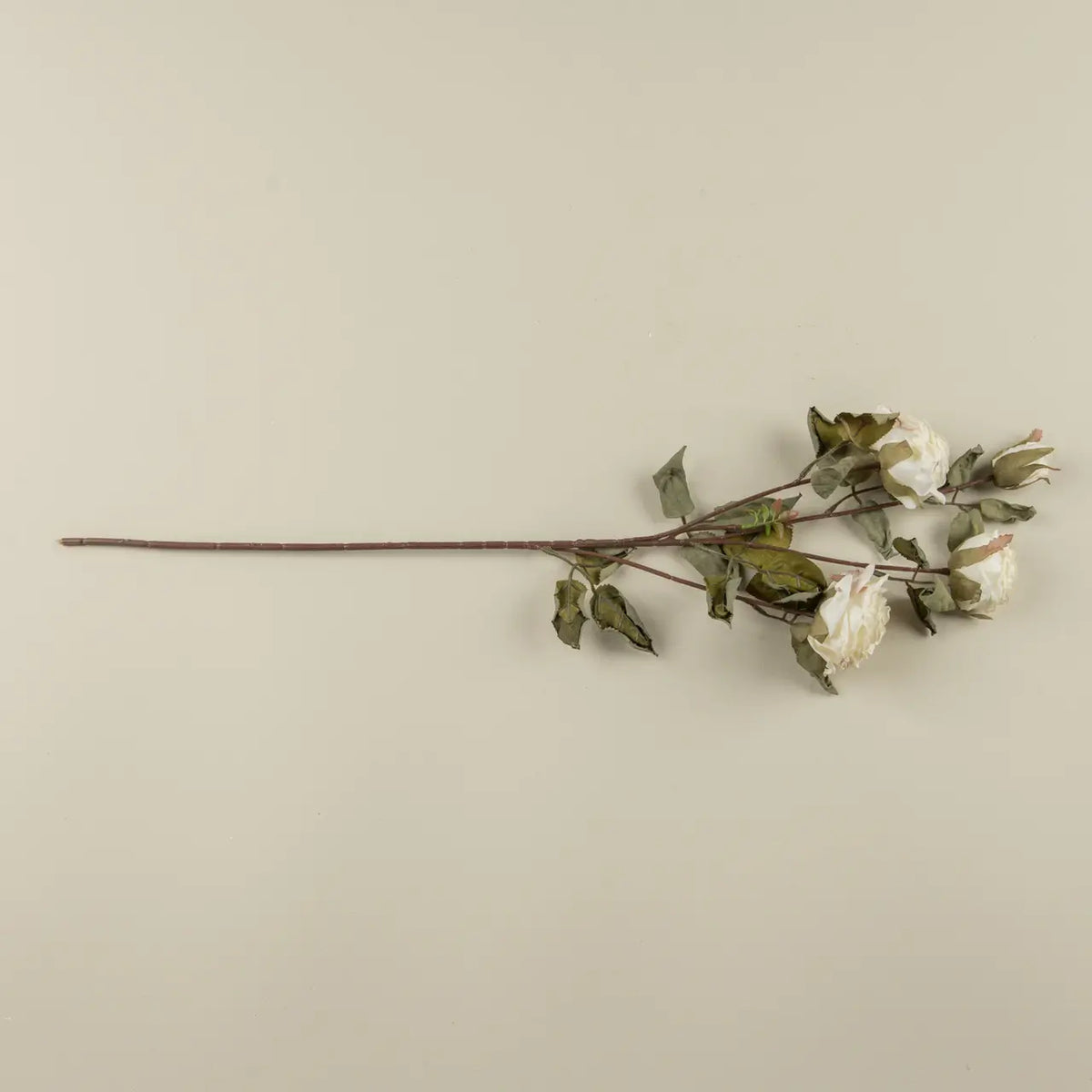 Cream Dried Rose Spray