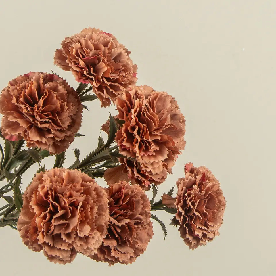 Terracotta Carnation Spray