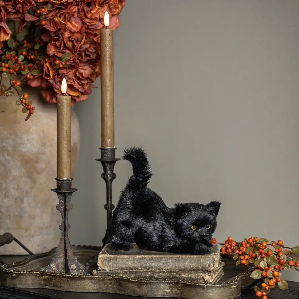 Vintage Black Cat