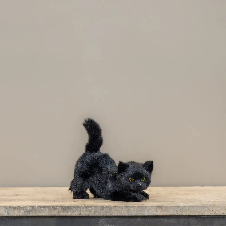 Vintage Black Cat