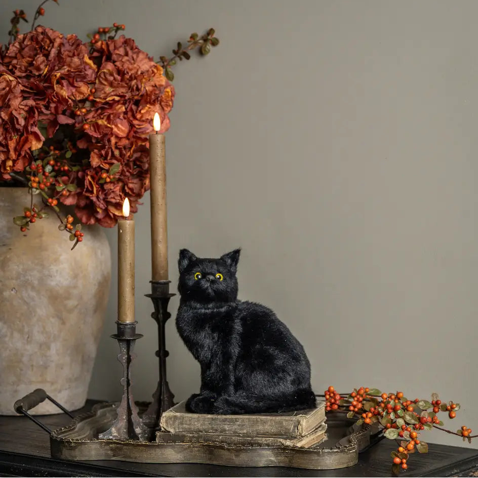 Vintage Black Cat
