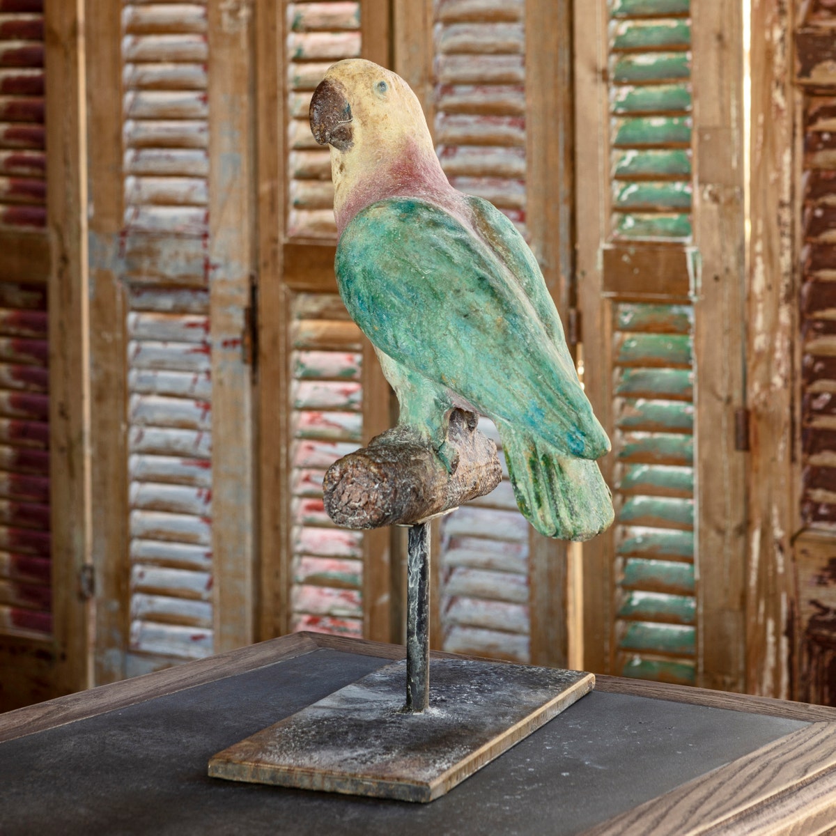 Aged Perched Parrot