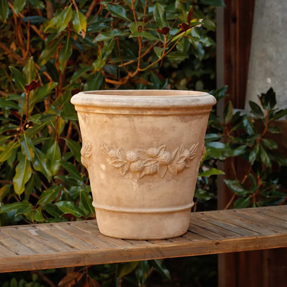 Fresco Limone Pot