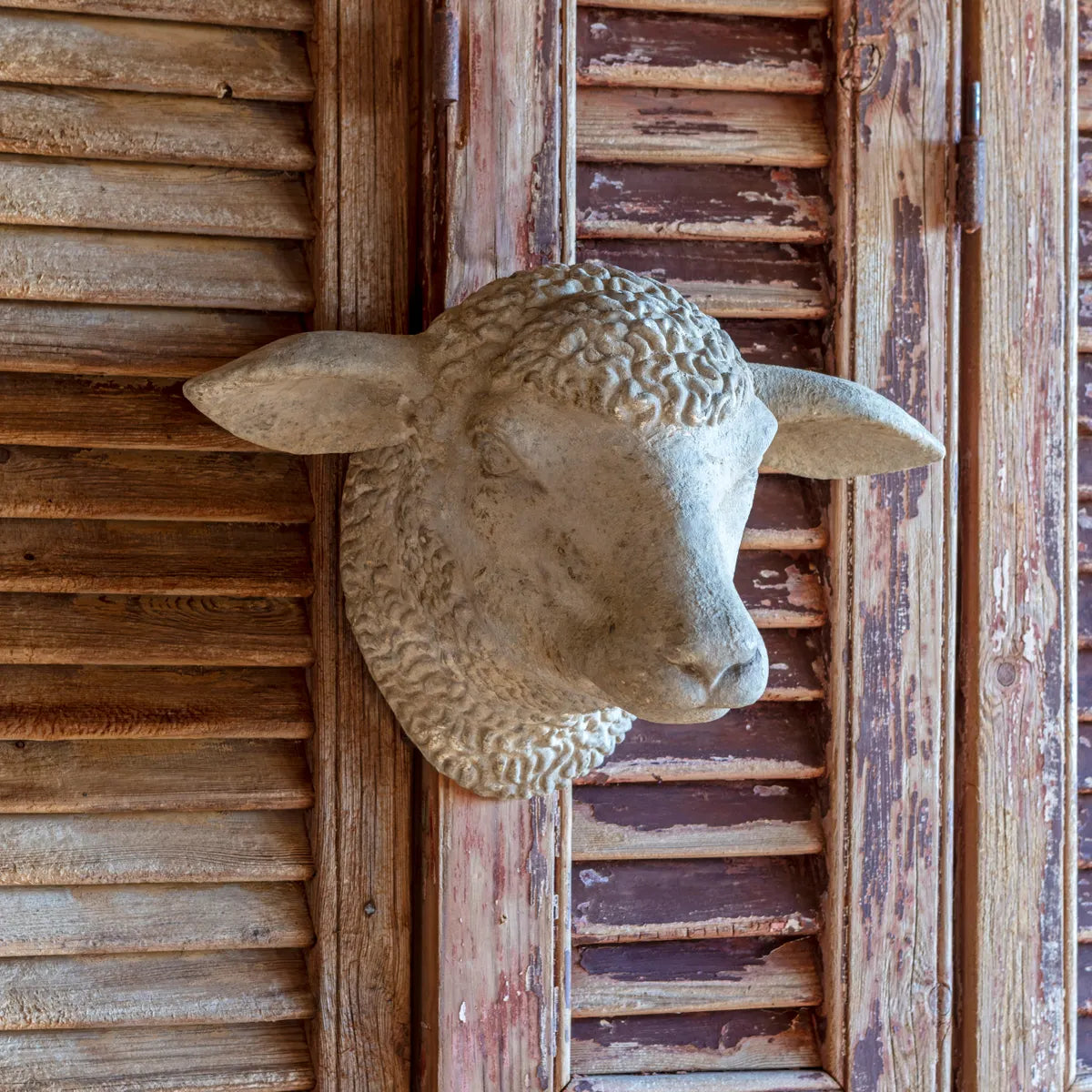 Decorative Weathered Sheep&#39;s Head