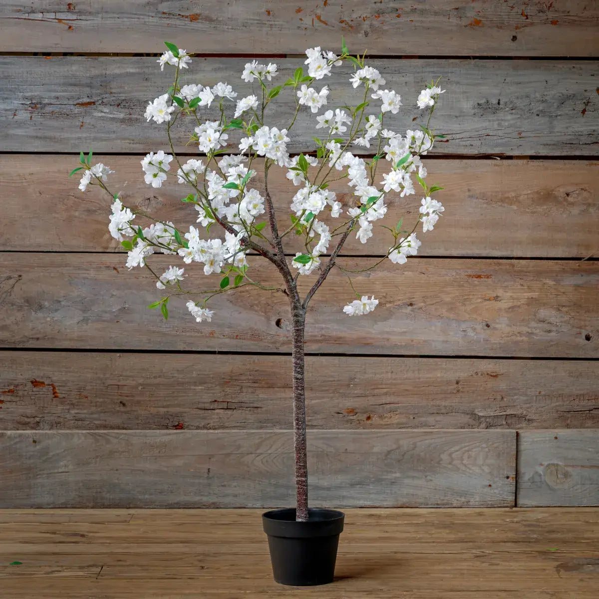 White Blossom Topiary Set