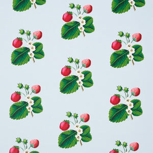 Schumacher Strawberry Hill Wallpaper