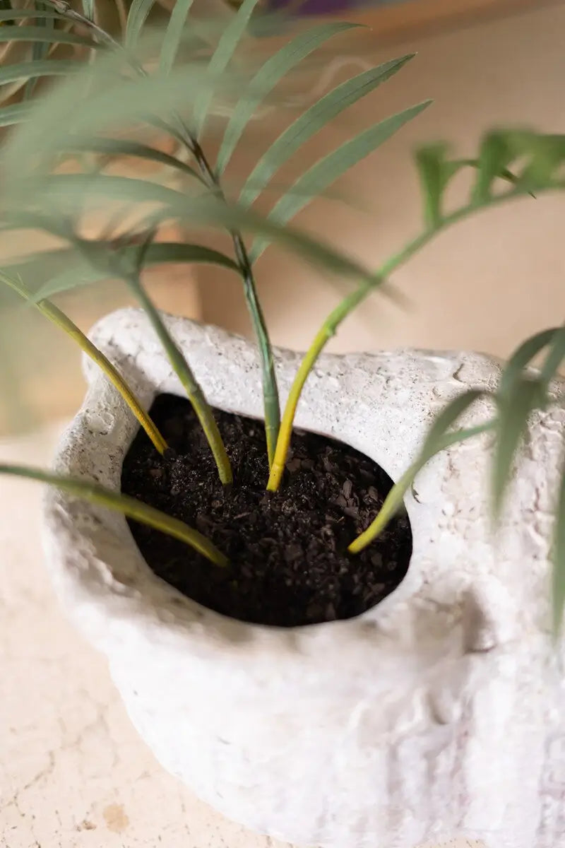 White Glaze Clay Conch Shell Planter