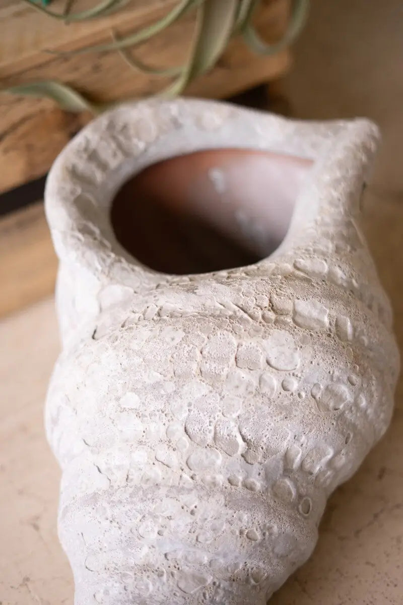 White Glaze Clay Conch Shell Planter