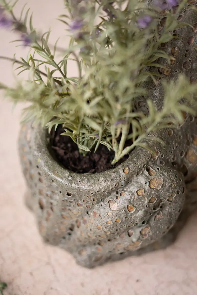 Terracotta Rustic Glaze Frog Planter