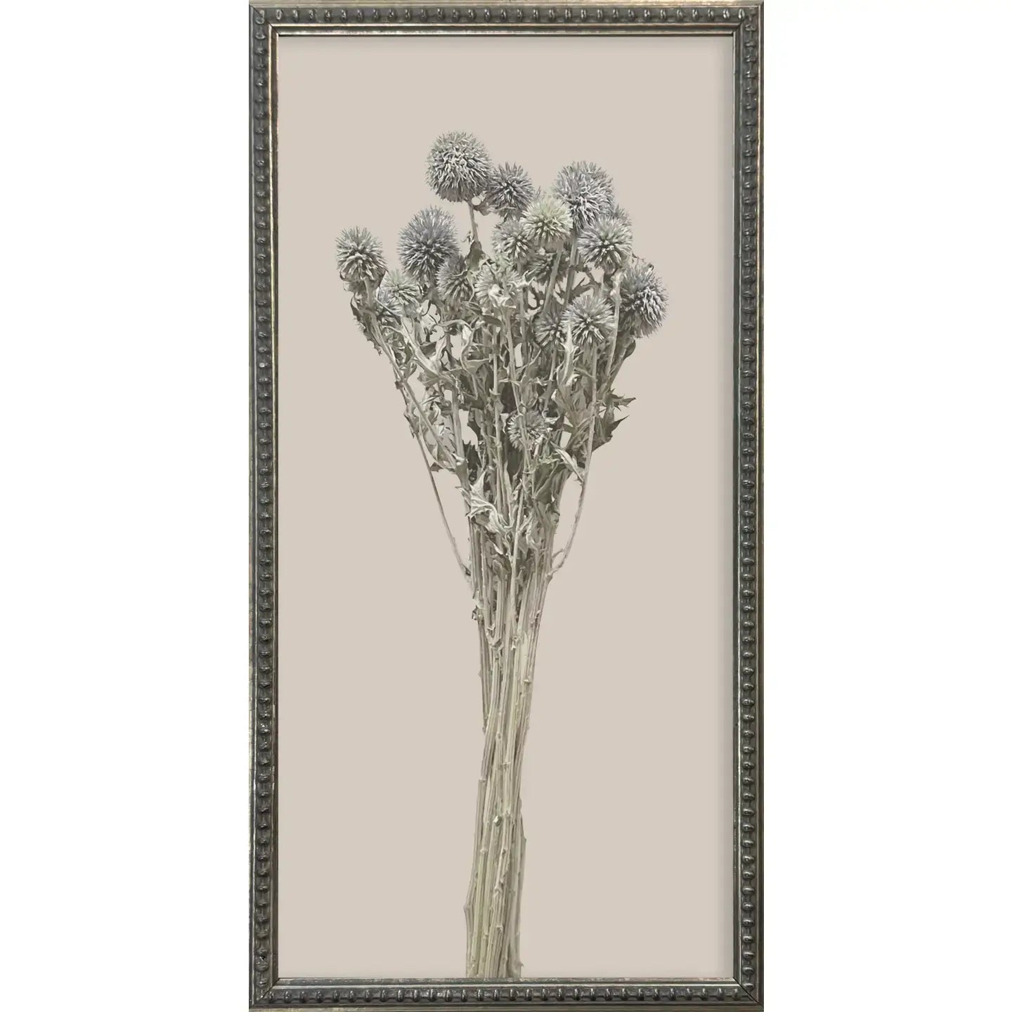 Botanicals Silver Bead Gallery Frame Art Set