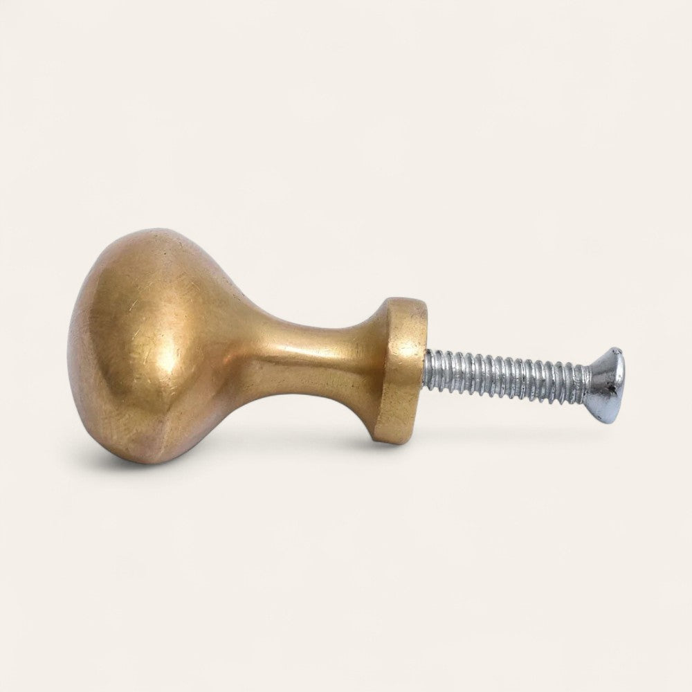 Antiqued Brass Oval Knob