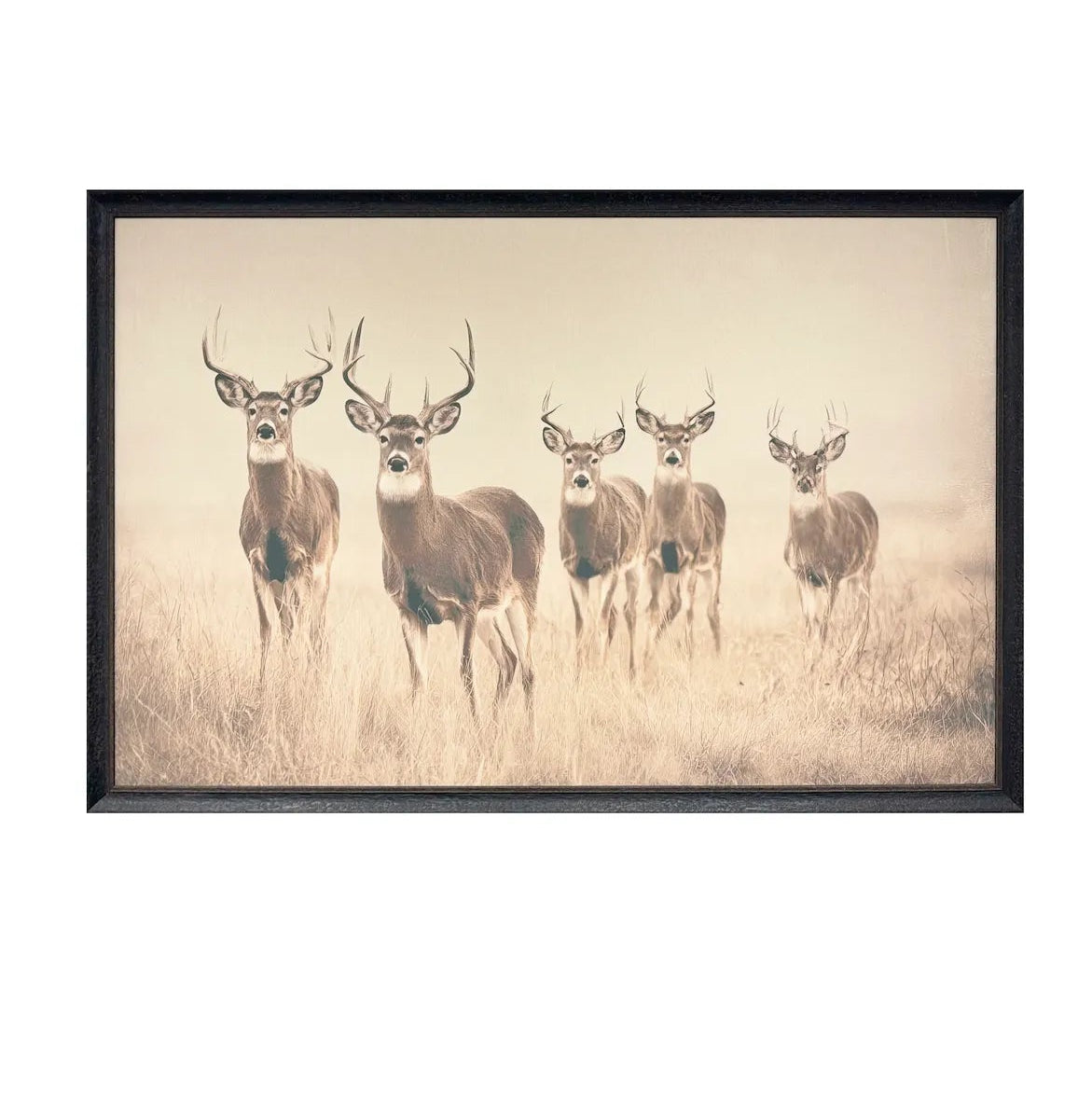 Vintage Antler Art Print