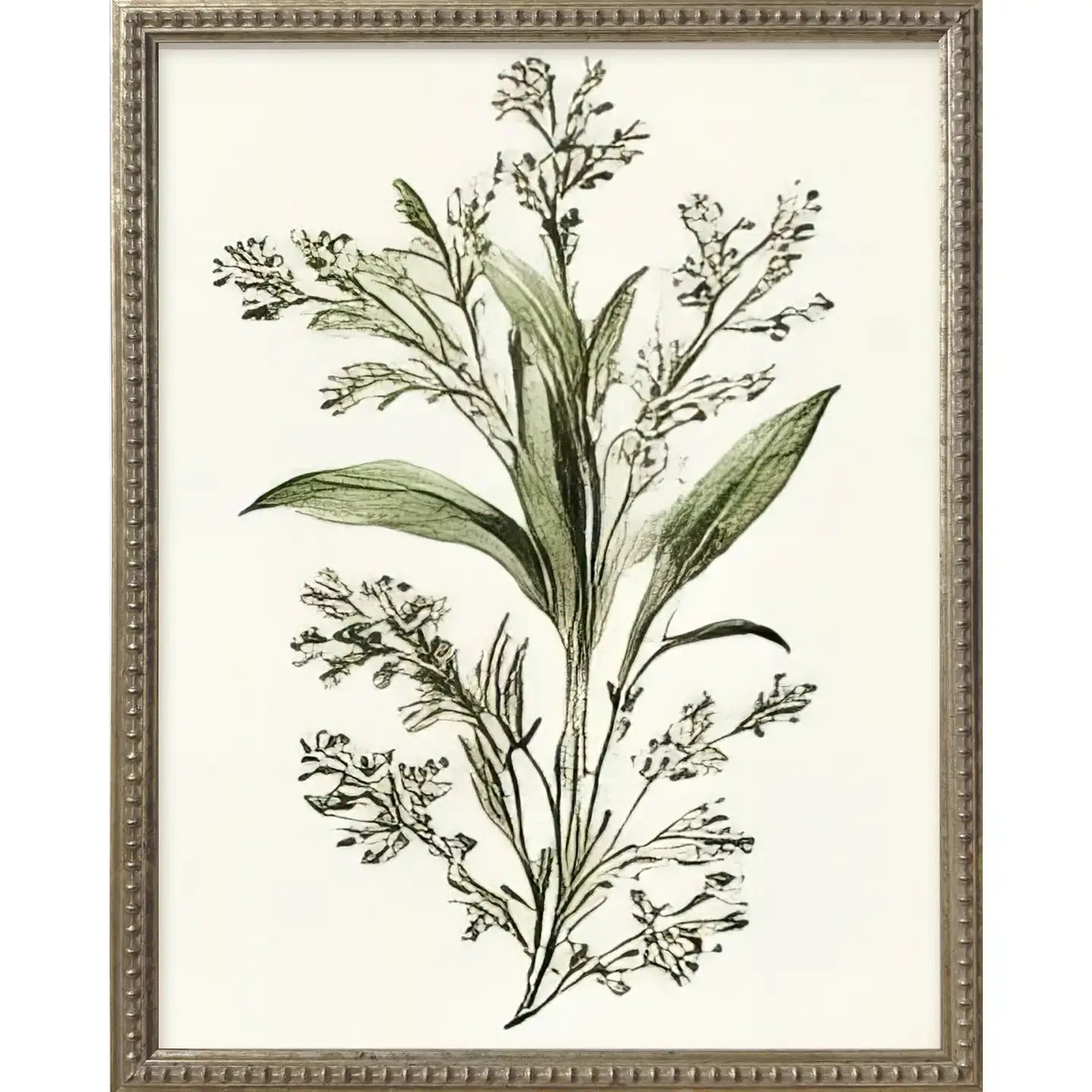 Green Botanicals Silver Bead Gallery Frame Art Set