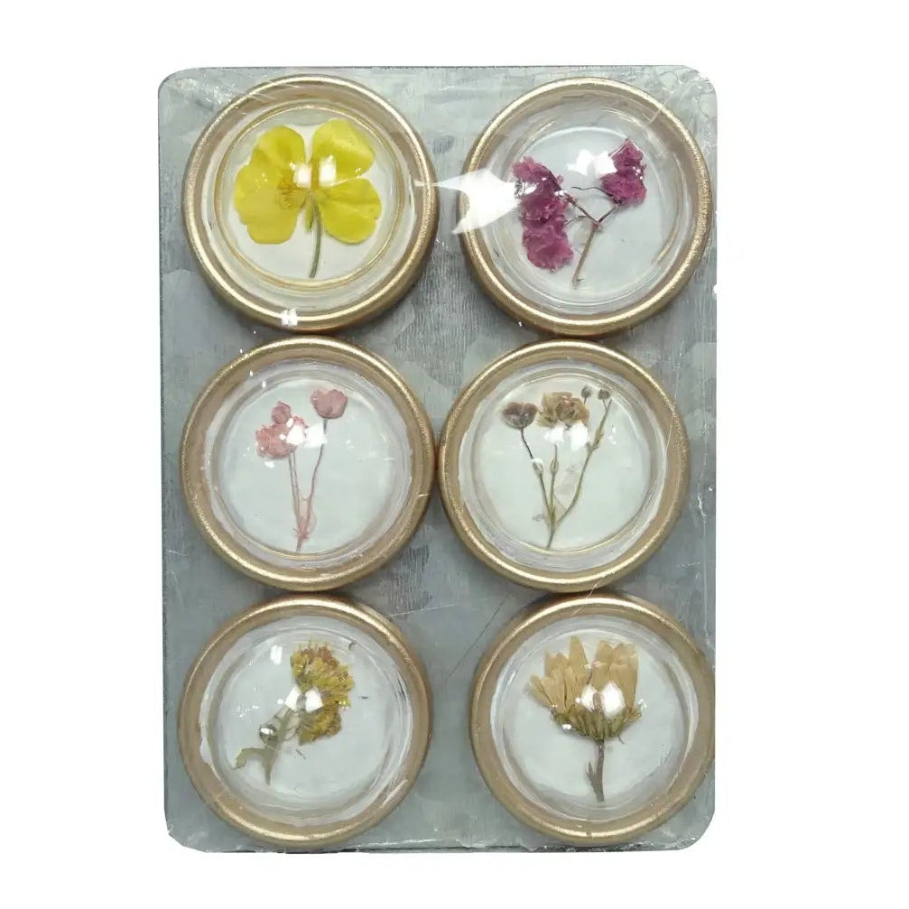 Resin Convex Botanical Magnet Set