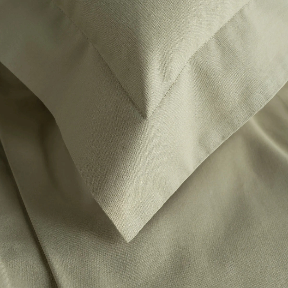 Pine Cone Hill Organic Cotton Sham