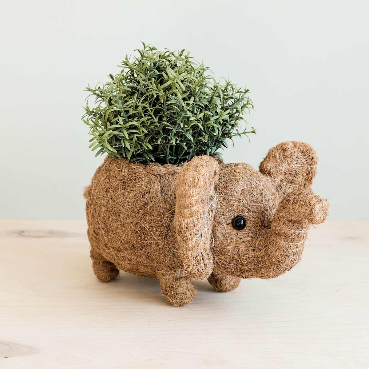 Coco Wicker Elephant Planter