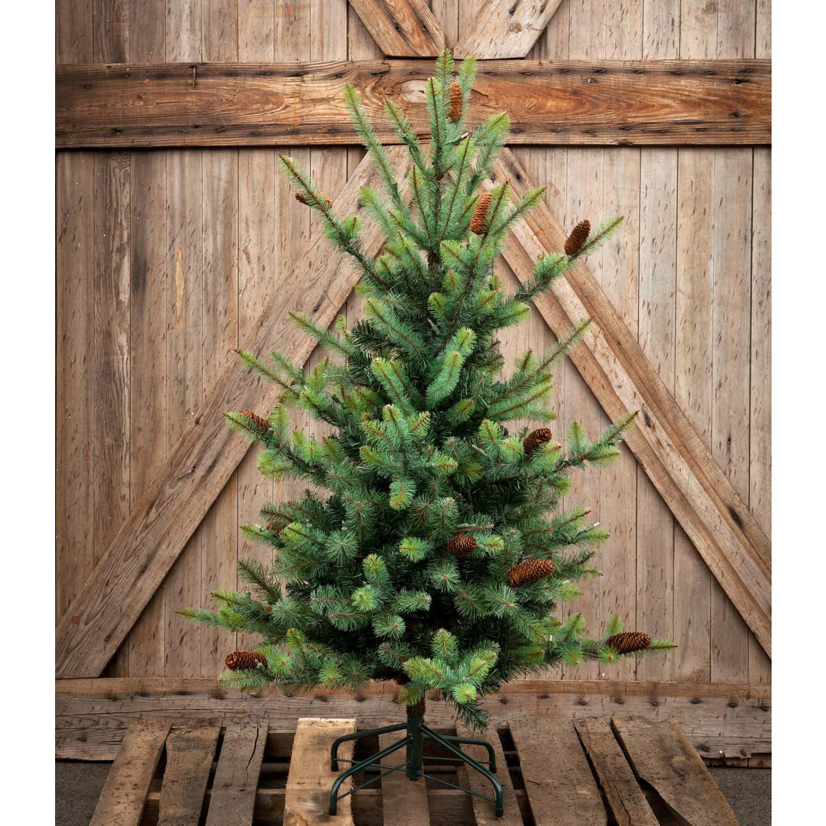 4.5' Park Hill Blue Spruce Christmas Tree With LED Lights