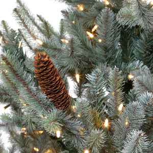 7.5' Park Hill Slim Line Blue Spruce Christmas Tree With LED Lights