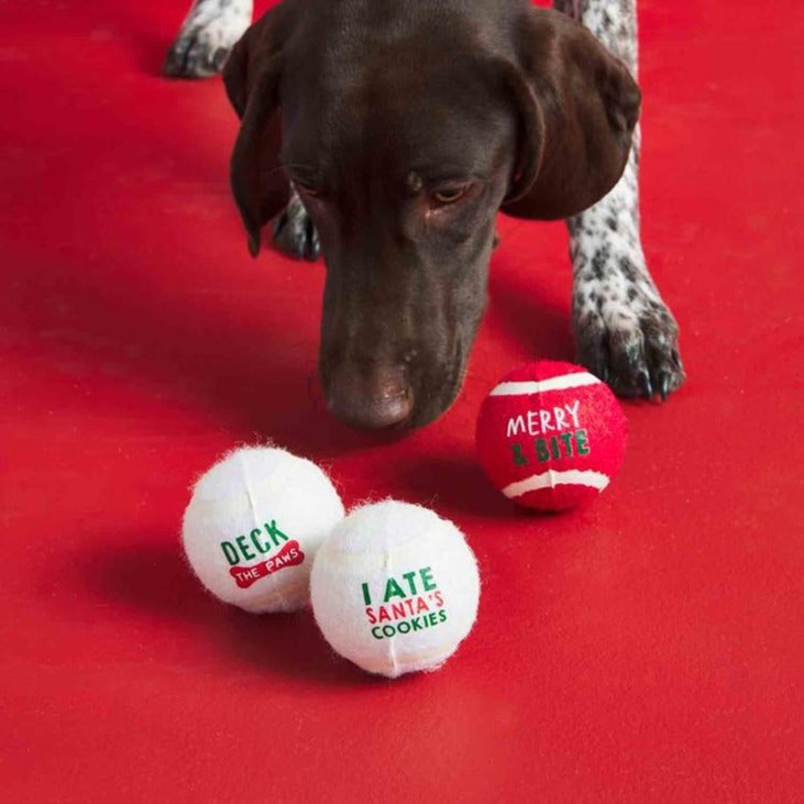 Christmas Dog Tennis Ball Toy