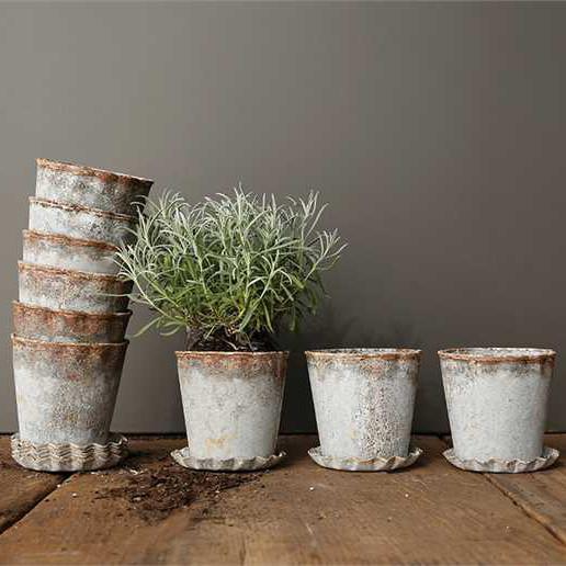 Distressed Zinc Pot With Pleated Saucer A Cottage in the City