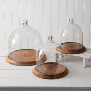 Glass Bell Cloche With Wood Base