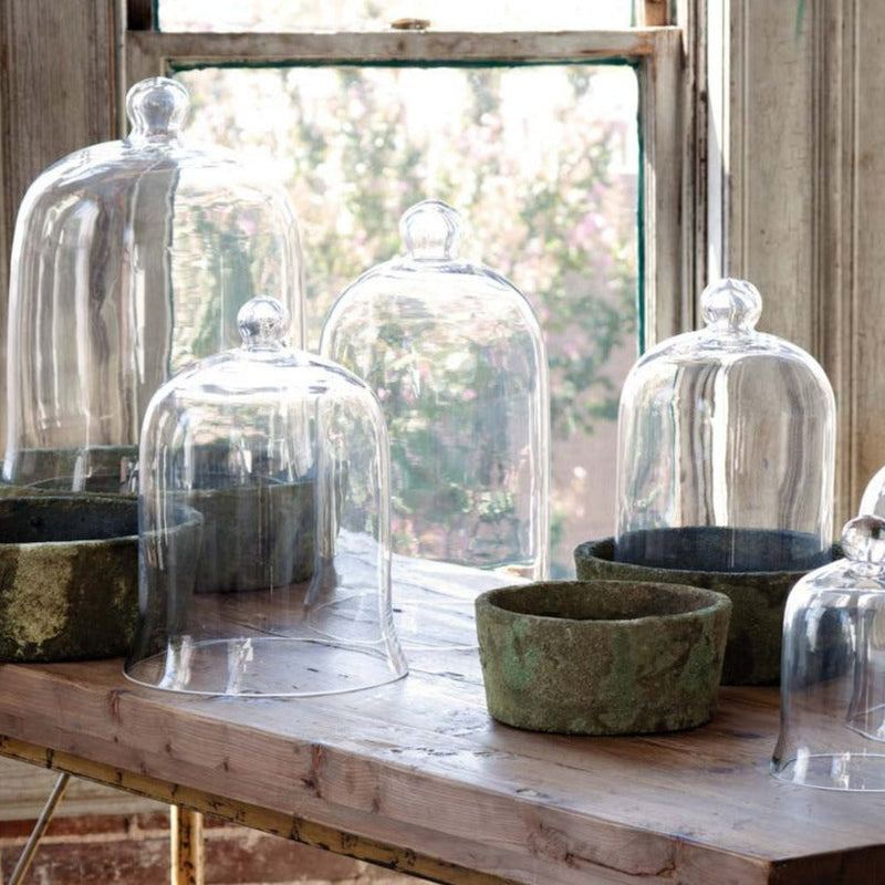 Bell Jar Racks Glass Bell Jar | A Cottage in the City