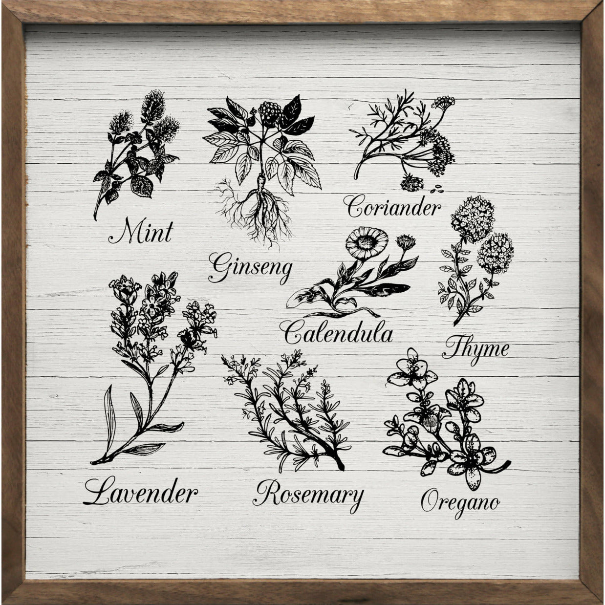 Herbs And Spices Wood Framed Print