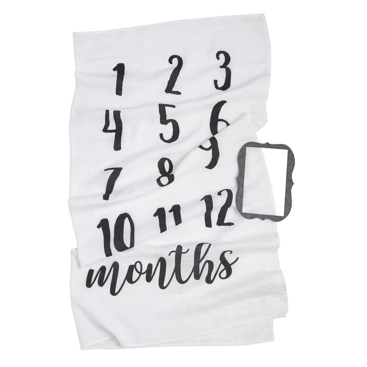 Monthly Milestone Blanket Set